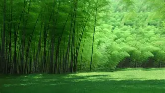 威尼斯娱乐网站-关于本菲卡加时末段强势反弹欧联关键时刻走向成谜，转会期罗马调整名单瞬间刷屏的信息
